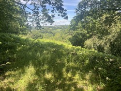 Images for Middlewood, North Hill, Launceston