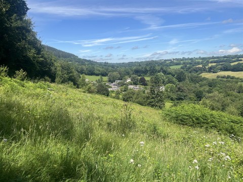 Click the photo for more details of Middlewood, North Hill, Launceston