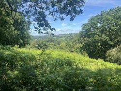 Images for Middlewood, North Hill, Launceston