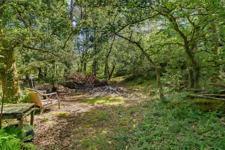 Images for Gulworthy, near Tavistock, West Devon - 0.93 acres