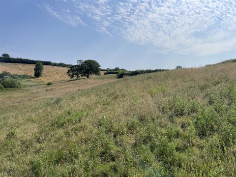 Click the photo for more details of Loxbeare, Tiverton