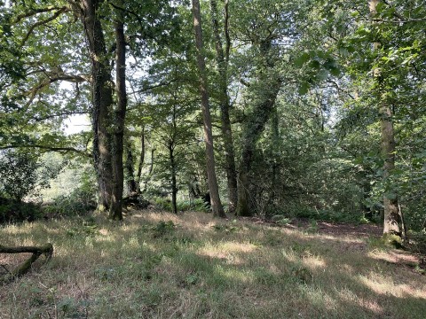Click the photo for more details of Loxbeare, Tiverton