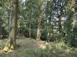 Images for Loxbeare, Tiverton