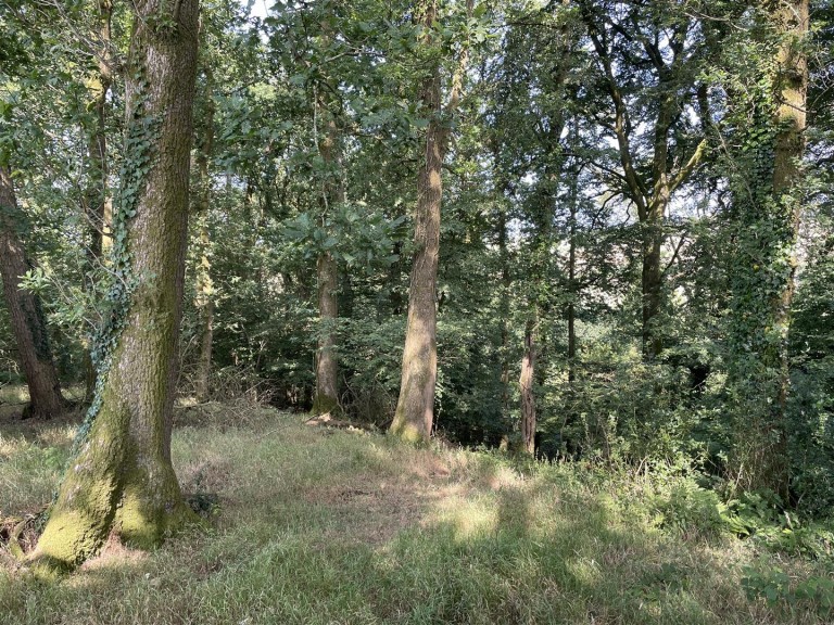Images for Loxbeare, Tiverton