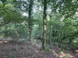 Images for Loxbeare, Tiverton
