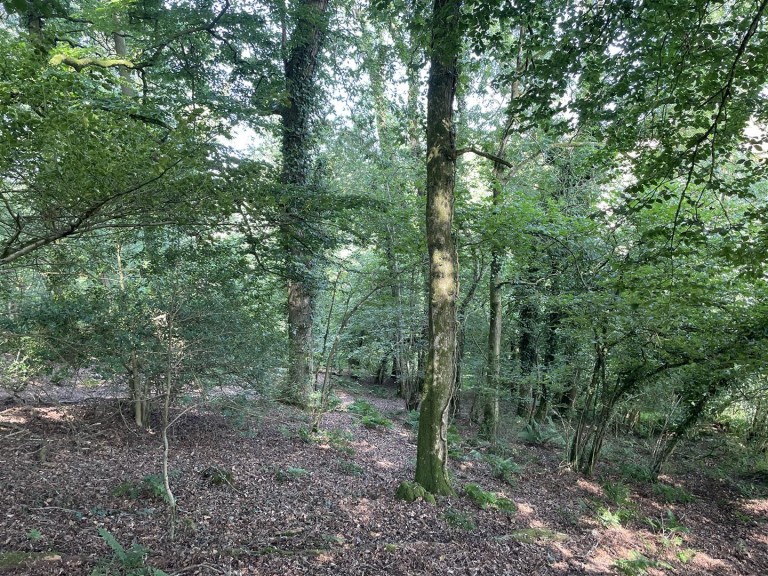 Images for Loxbeare, Tiverton