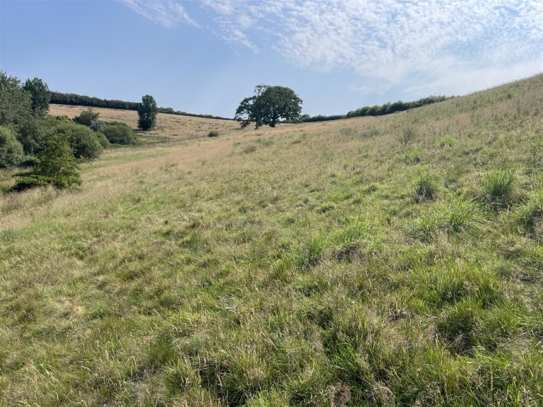 Images for Loxbeare, Tiverton