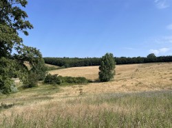 Images for Loxbeare, Tiverton