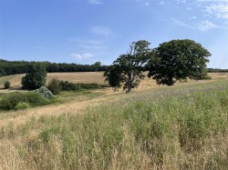 Images for Loxbeare, Tiverton