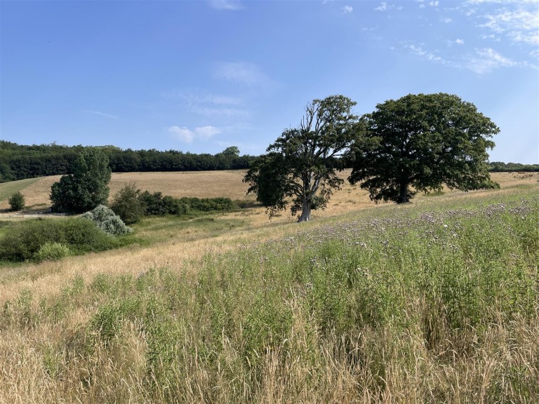 Images for Loxbeare, Tiverton