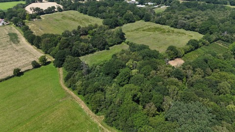 Click the photo for more details of Woodland at Big Copse, Hampreston, Wimborne