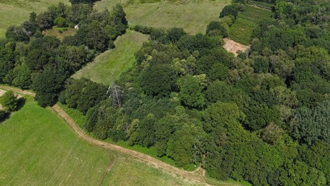 Click the photo for more details of Woodland at Big Copse, Hampreston, Wimborne