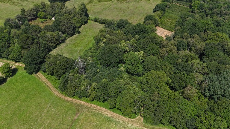 Images for Woodland at Big Copse, Hampreston, Wimborne