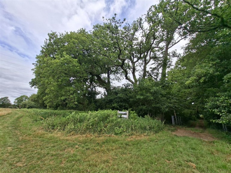 Images for Woodland at Big Copse, Hampreston, Wimborne