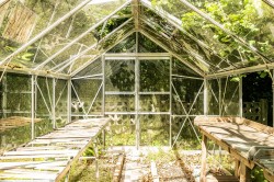 Images for Station Road, Lifton