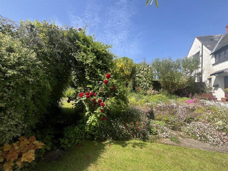 Images for Preston Bowyer, Taunton