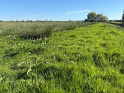 Images for Blakeway, Wedmore