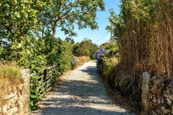 Images for Black Rock, Camborne