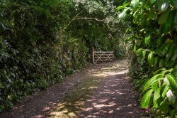 Images for Stourscombe, Launceston