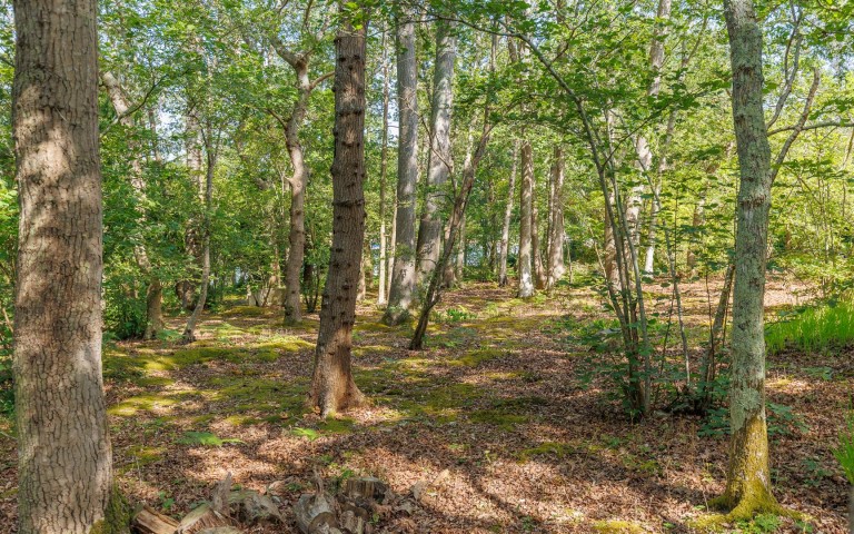 Images for Fishbourne, Isle of Wight