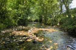 Images for Ermington, South Devon