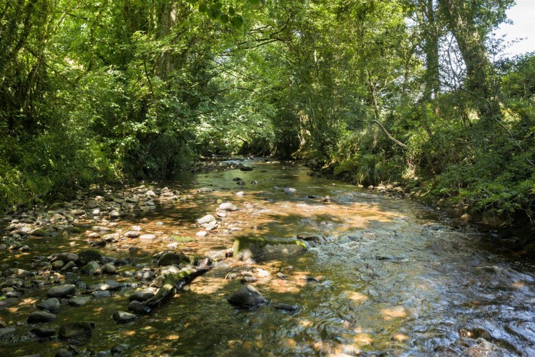 Images for Ermington, South Devon