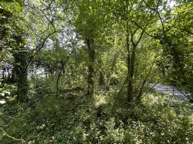 Images for Bradford Lane, Longburton, Sherborne