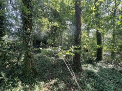 Images for Bradford Lane, Longburton, Sherborne