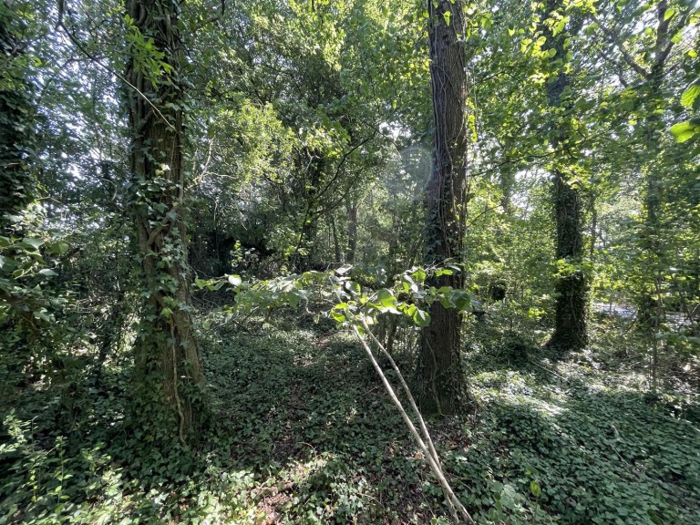 Images for Bradford Lane, Longburton, Sherborne