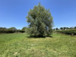 Images for Caundle Marsh, Sherborne