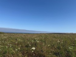 Images for Sennan, Penzance