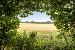 Images for Ashill, Cullompton