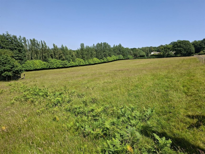 Click the photo for more details of Raymonds Hill, Axminster