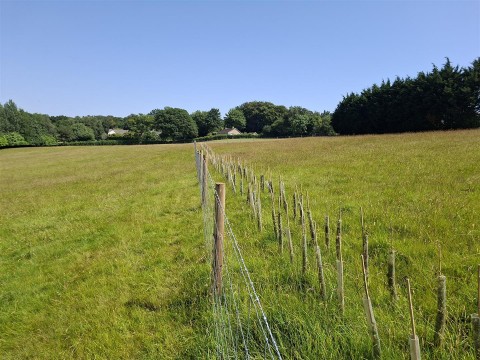 Click the photo for more details of Raymonds Hill, Axminster
