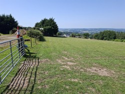 Images for Raymonds Hill, Axminster