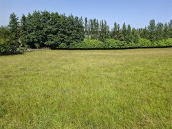 Images for Raymonds Hill, Axminster