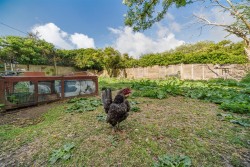 Images for Yaverland, Isle of Wight