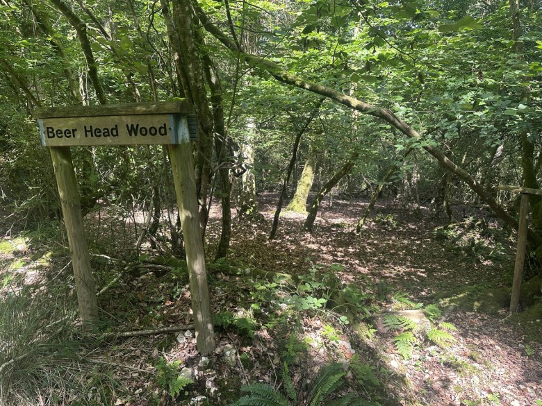 Click the photo for more details of Harcombe, Sidmouth