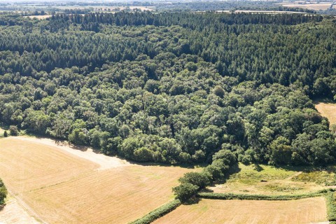 Click the photo for more details of Harcombe, Sidmouth