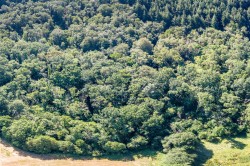 Images for Harcombe, Sidmouth