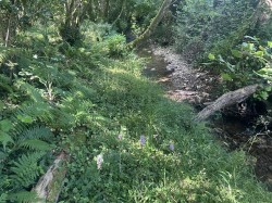Images for Harcombe, Sidmouth