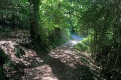 Images for Harcombe, Sidmouth