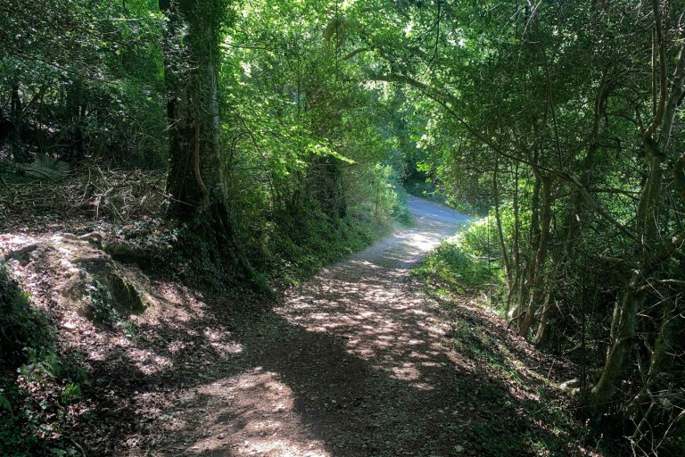 Images for Harcombe, Sidmouth