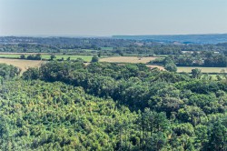 Images for Harcombe, Sidmouth