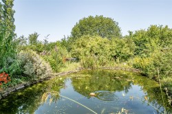 Images for Knowle Gardens, Combe Martin, Ilfracombe