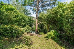 Images for Bannawell Street, Tavistock, West Devon