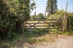Images for Knights Lane, All Saints, Axminster