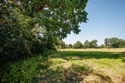 Images for Knights Lane, All Saints, Axminster