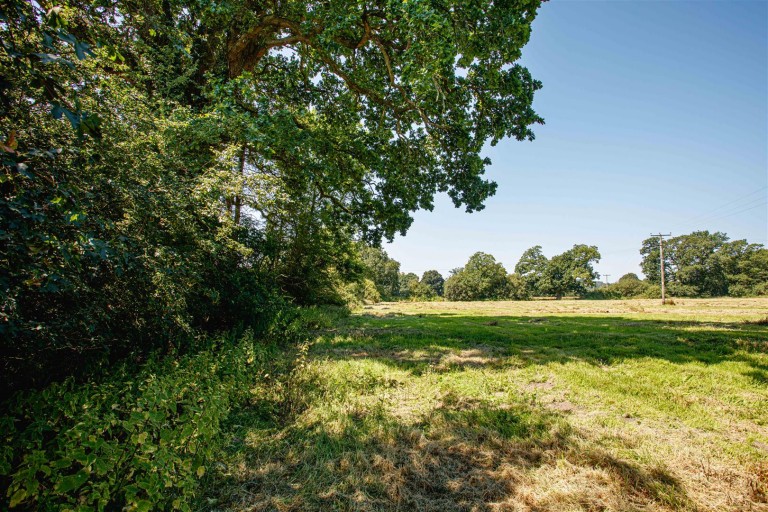 Images for Knights Lane, All Saints, Axminster