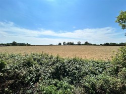 Images for Church Lane, Long Load, Langport